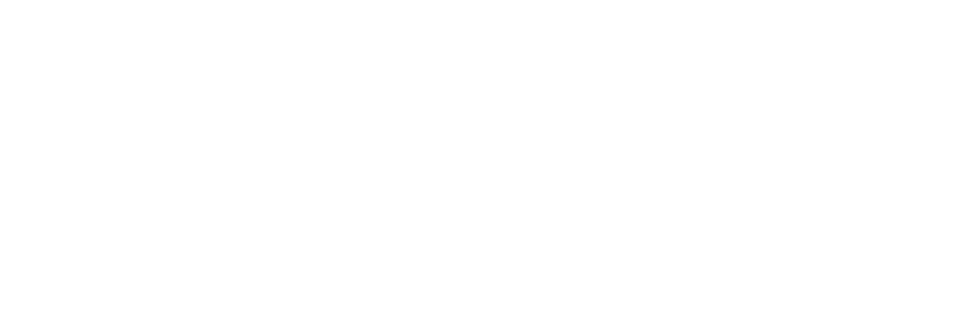 Valen logo