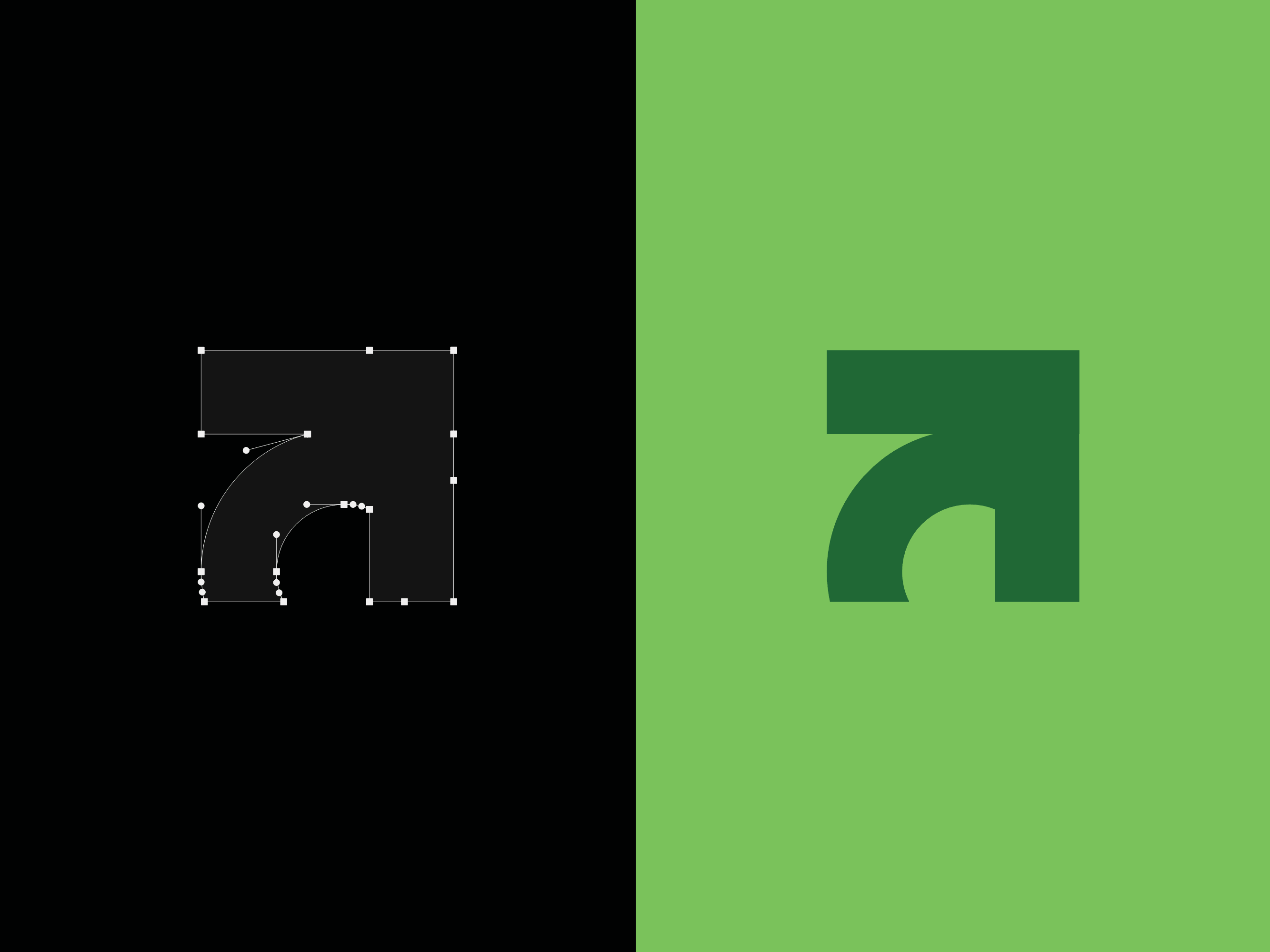 Ascend Branding visual 4