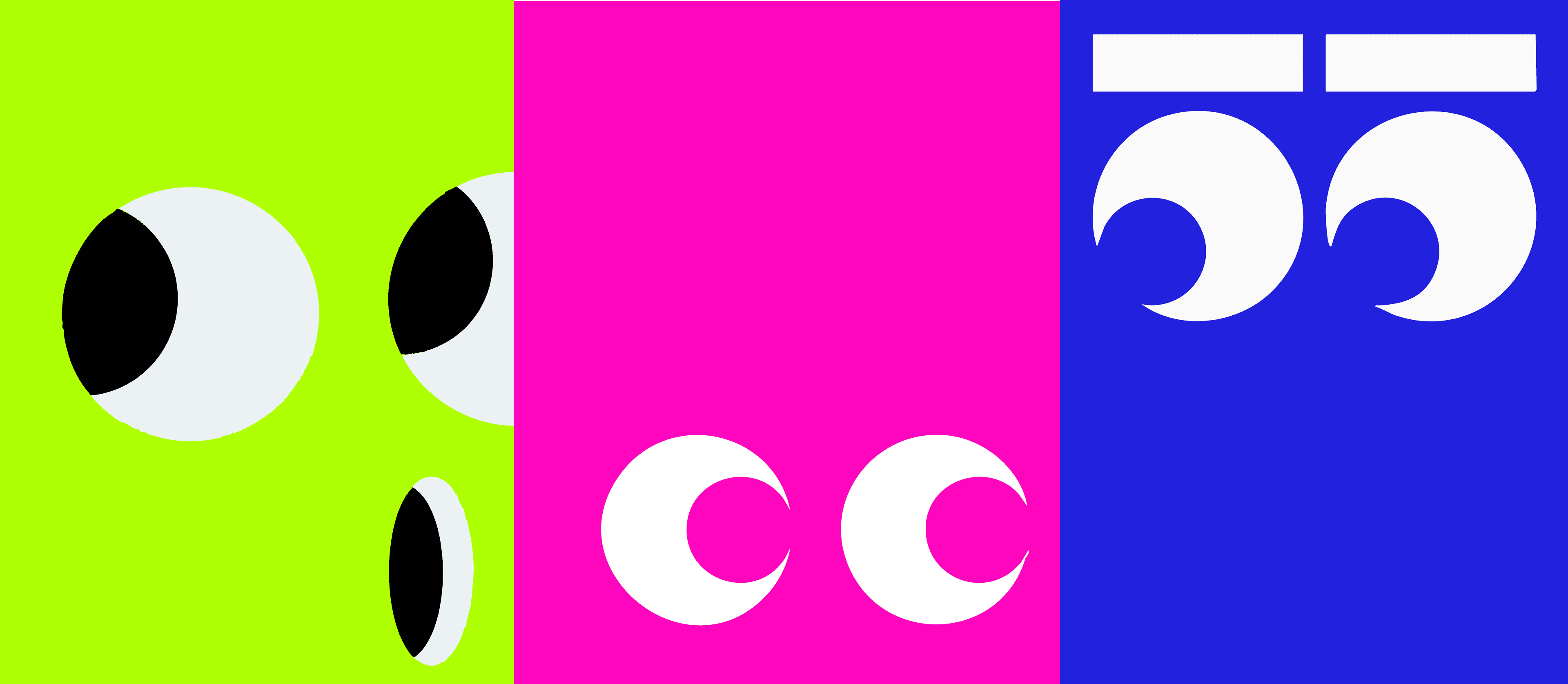 Final brand direction showcase